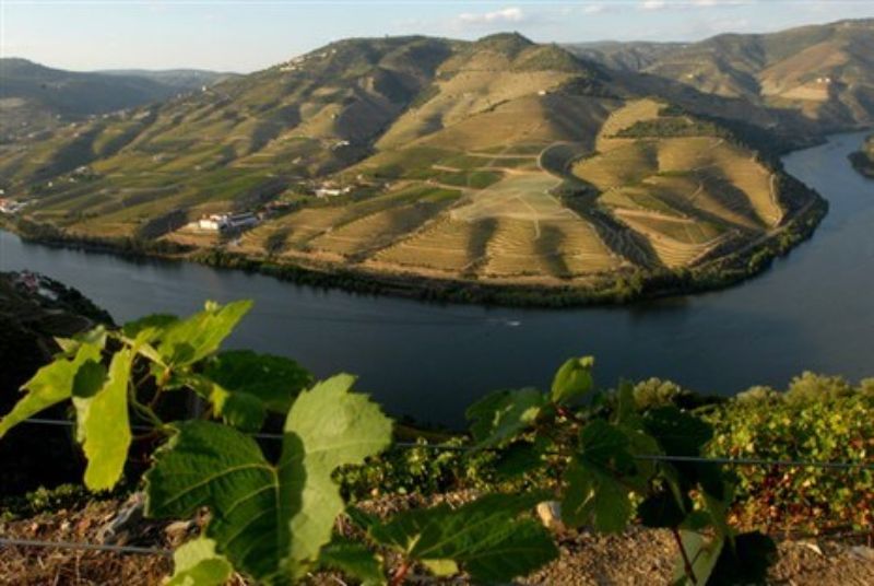 Portuguese Wine - Portugal's Wine Region