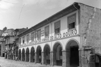 Conheça a História do Vinho